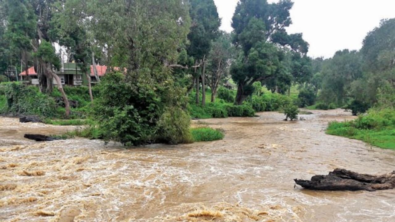 தொடர் மழையால் மாயார் ஆற்றில் வெள்ளப்பெருக்கு; வறட்சியால் தவித்த முதுமலை காடு புத்துயிர் பெற்றது… தொடர் மழையால் மாயார் ஆற்றில் வெள்ளப்பெருக்கு; வறட்சியால் தவித்த முதுமலை காடு புத்துயிர் பெற்றது…