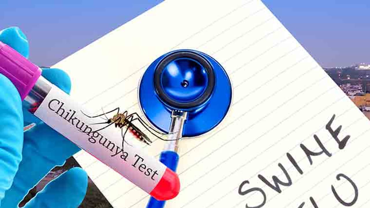 ಹಂದಿ ಜ್ವರಕ್ಕೆ ಬಲಿಯಾದ ಬಿಜೆಪಿ ಶಾಸಕಿ ಹಂದಿ ಜ್ವರಕ್ಕೆ ಬಲಿಯಾದ ಬಿಜೆಪಿ ಶಾಸಕಿ