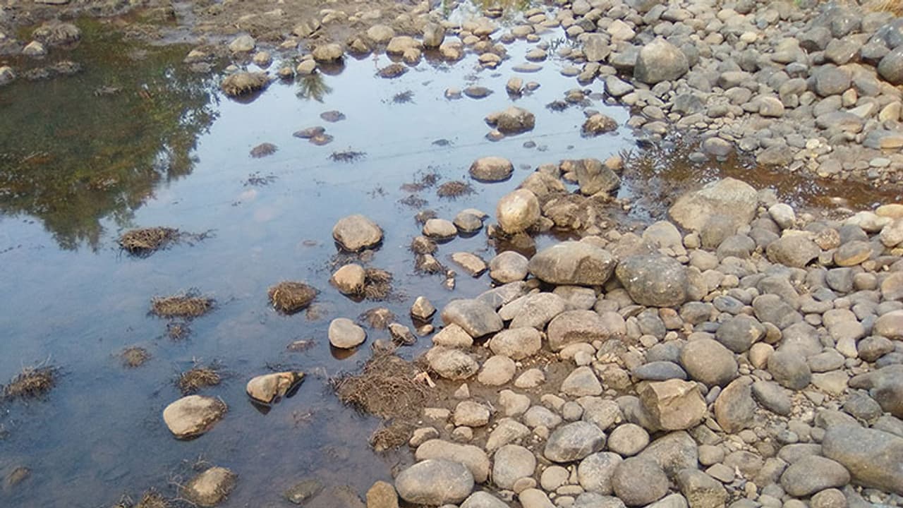 വേനല് കടുക്കുന്നു; കാസര്കോട് വറ്റിവരളുന്നു വേനല് കടുക്കുന്നു; കാസര്കോട് വറ്റിവരളുന്നു