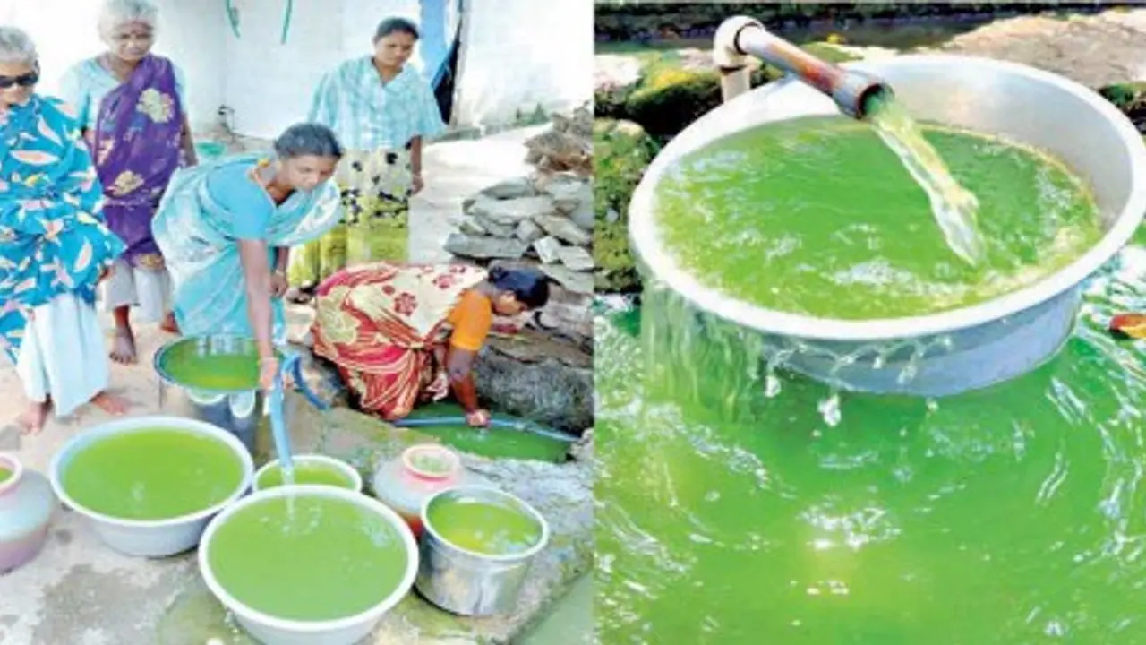 குடிநீர் விநியோகம் செய்யப்படும் என்று எதிர்ப்பார்ப்பில் இருந்த மக்களுக்கு அதிர்ச்சி; பச்சை நிறத்தில் அசுத்தமான தண்ணீர்… குடிநீர் விநியோகம் செய்யப்படும் என்று எதிர்ப்பார்ப்பில் இருந்த மக்களுக்கு அதிர்ச்சி; பச்சை நிறத்தில் அசுத்தமான தண்ணீர்…