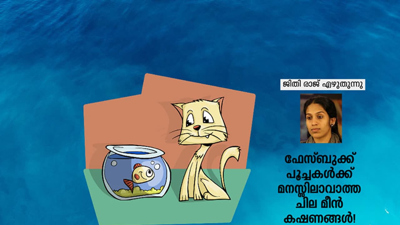 ചിരി ആരോഗ്യത്തിന് ഹാനികരം (പെണ്ണുങ്ങള്‍ക്കു മാത്രം)