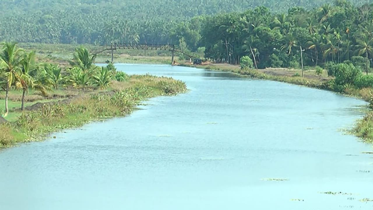 పశ్చిమ గోదావరి జిల్లాలో కాలువలోకి దూసుకెళ్లిన కారు: ముగ్గురు మృతి పశ్చిమ గోదావరి జిల్లాలో కాలువలోకి దూసుకెళ్లిన కారు: ముగ్గురు మృతి