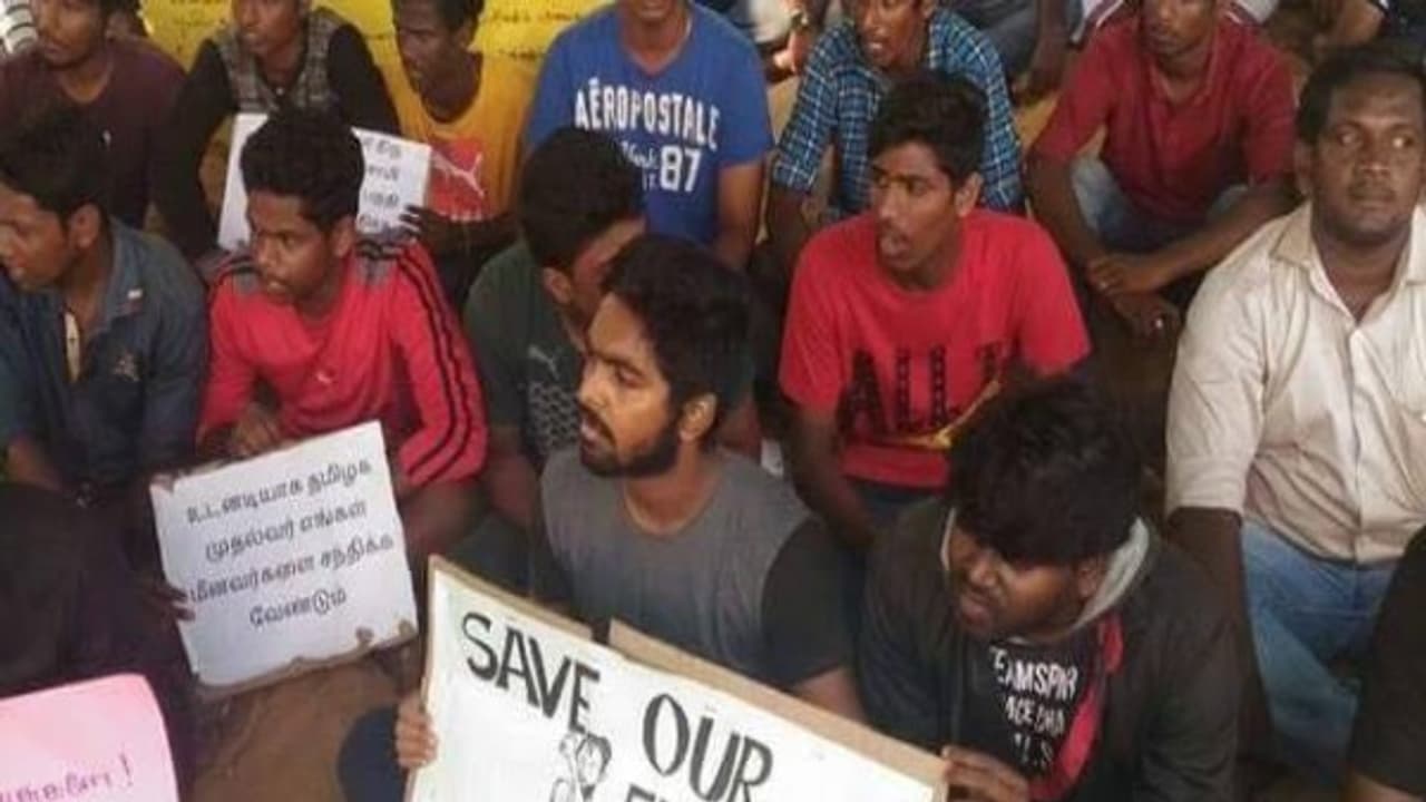 கன்னியாகுமரி சென்று கண்ணீர் விட்ட ஜி.வி.பிரகாஷ்... நாமும் ஒரு பக்கம் உதவலாம் என அழைப்பு! கன்னியாகுமரி சென்று கண்ணீர் விட்ட ஜி.வி.பிரகாஷ்... நாமும் ஒரு பக்கம் உதவலாம் என அழைப்பு!