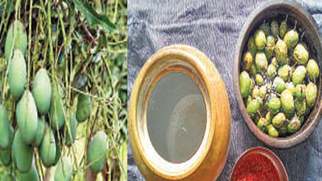 ಕರಾವಳಿ ಸ್ಟೈಲಲ್ಲಿ ಉಪ್ಪಿನಕಾಯಿ ಮಾಡುವುದು ಕಲಿಯಿರಿ ಕರಾವಳಿ ಸ್ಟೈಲಲ್ಲಿ ಉಪ್ಪಿನಕಾಯಿ ಮಾಡುವುದು ಕಲಿಯಿರಿ