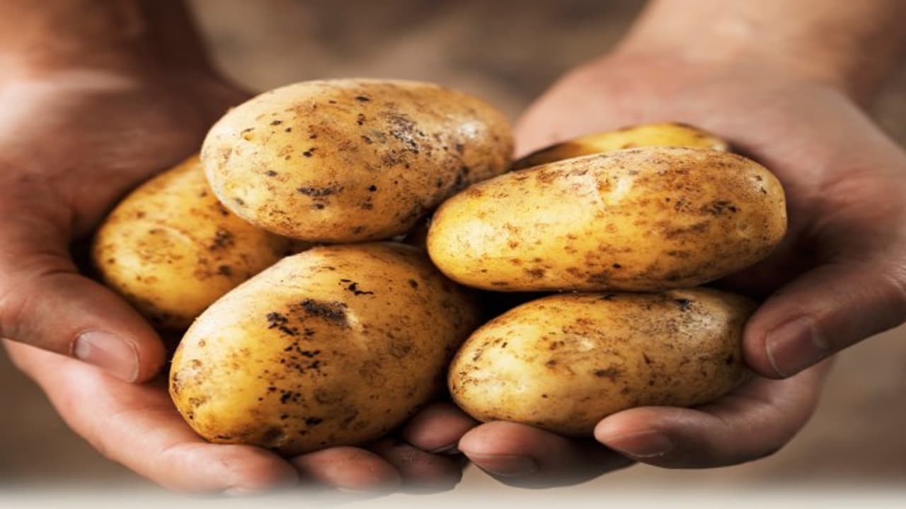 இரத்த அழுத்தமா? உருளைக்கிழங்கு தீர்வாக இருக்கும்… இரத்த அழுத்தமா? உருளைக்கிழங்கு தீர்வாக இருக்கும்…