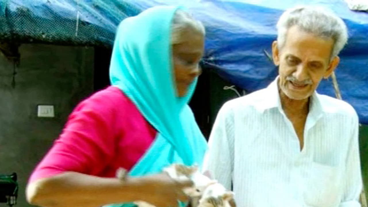 റേഷന് കാര്ഡില് രണ്ടുപേര് മാത്രം, വീട്ടിലുള്ളത് 36 പേര്, പൂച്ച വീടിന്റെ വിശേഷങ്ങള് റേഷന് കാര്ഡില് രണ്ടുപേര് മാത്രം, വീട്ടിലുള്ളത് 36 പേര്, പൂച്ച വീടിന്റെ വിശേഷങ്ങള്