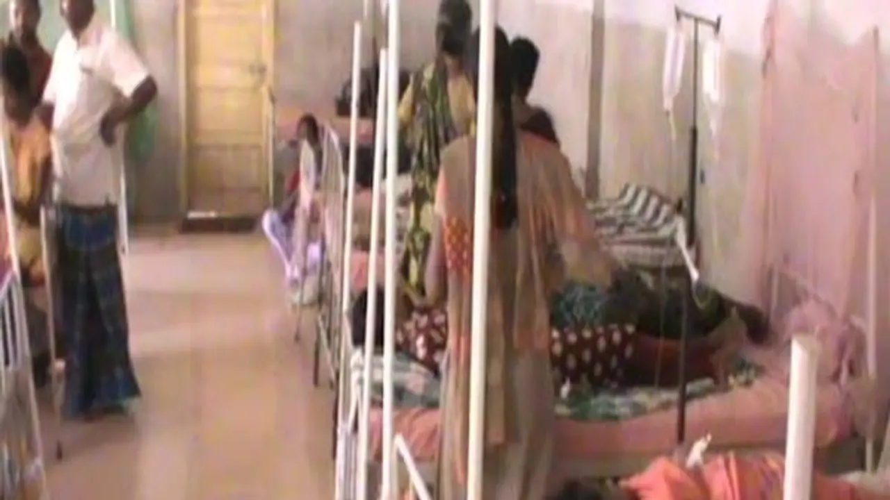 dengu 4 25240.jpg dengu 4 25240.jpg