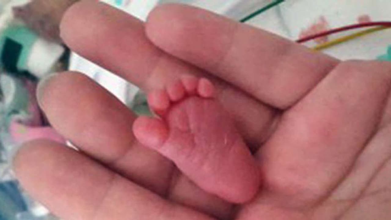 ചവറുകൂനയില് 19 ഗര്ഭസ്ഥ ശിശുക്കളുടെ മൃതദേഹങ്ങള് ചവറുകൂനയില് 19 ഗര്ഭസ്ഥ ശിശുക്കളുടെ മൃതദേഹങ്ങള്