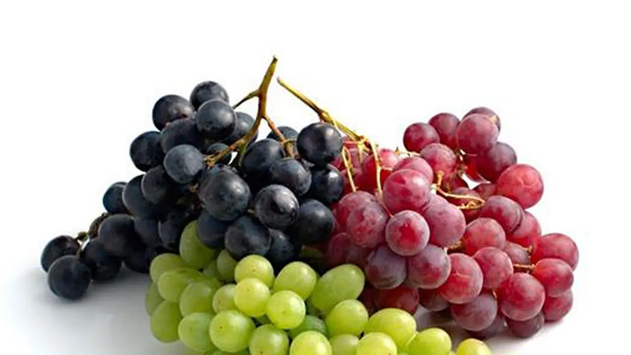 ಪ್ರತಿ ನಿತ್ಯ ಈ ಹಣ್ಣನ್ನ ತಿಂದರೆ ದೃಷ್ಟಿದೋಶ ದೂರ ದೂರ..! ತಮಾಷೆಯಲ್ಲ ಸಂಶೋಧನೆಯ ವರದಿ