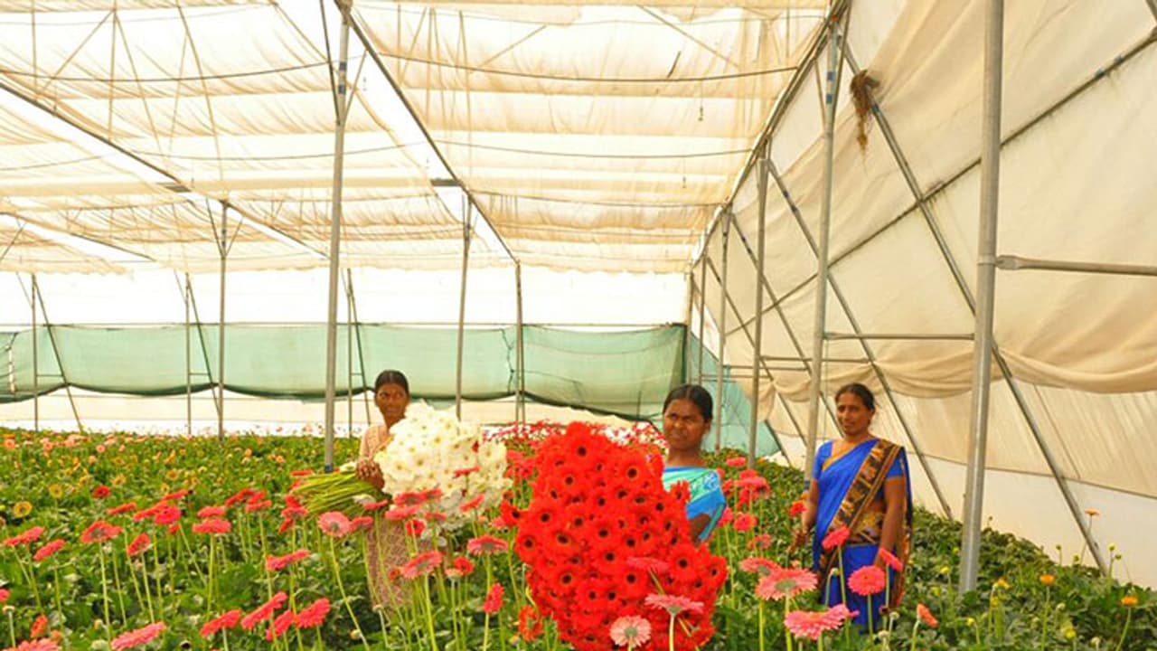 తెలంగాణ ఫలితాలొస్తున్నాయ్ తెలంగాణ ఫలితాలొస్తున్నాయ్