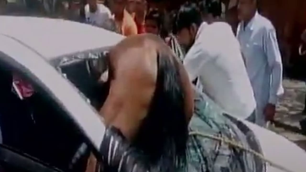 Watch: Horse collides with moving car, gets stuck in windshield Watch: Horse collides with moving car, gets stuck in windshield