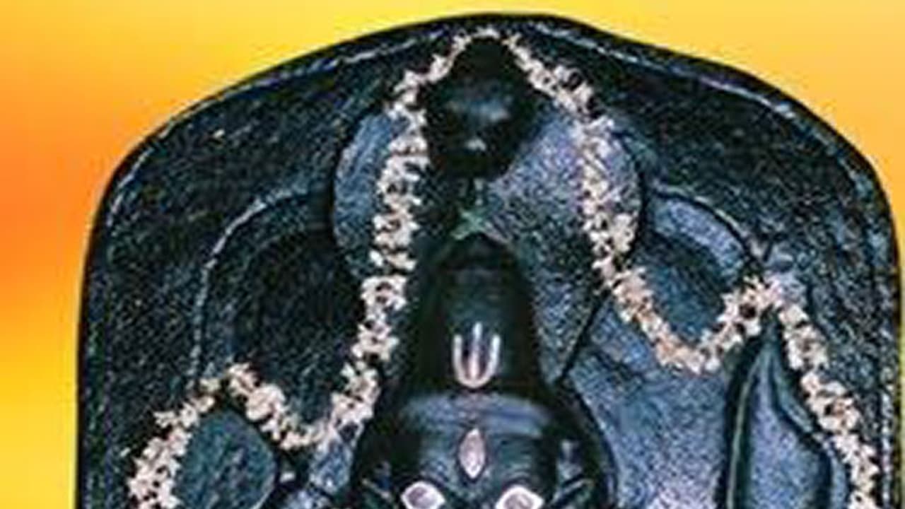 বাড়িতে এই মূর্তিগুলি ভুলেও স্থাপন করা উচিত নয়, ডেকে আনতে পারে দুর্ভাগ্য বাড়িতে এই মূর্তিগুলি ভুলেও স্থাপন করা উচিত নয়, ডেকে আনতে পারে দুর্ভাগ্য