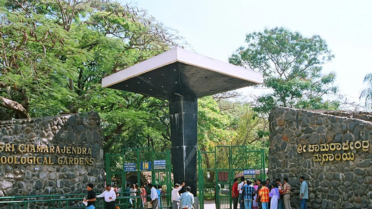 Silent tragedy at Mysuru Zoo: 467 animals dead in 7 yrs Silent tragedy at Mysuru Zoo: 467 animals dead in 7 yrs