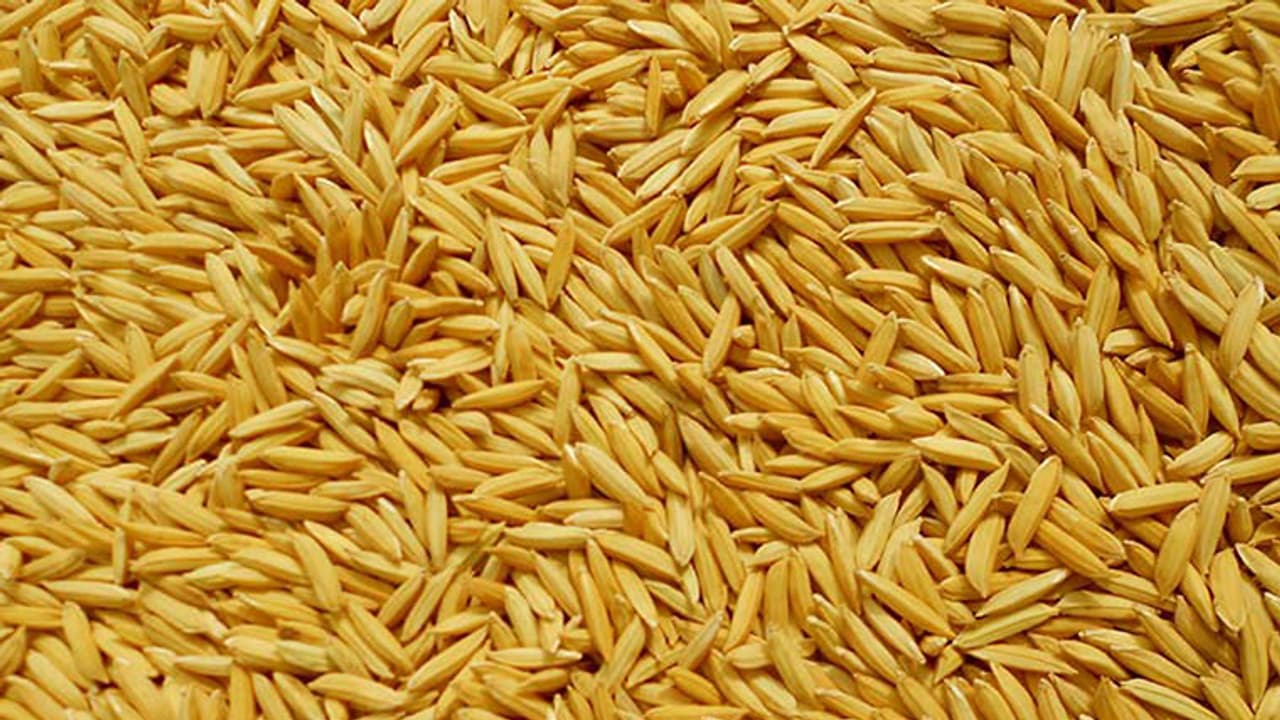 വയനാട്ടില് 62 ഇനം പരമ്പരാഗത നെല്വിത്തിനങ്ങള് വയനാട്ടില് 62 ഇനം പരമ്പരാഗത നെല്വിത്തിനങ്ങള്