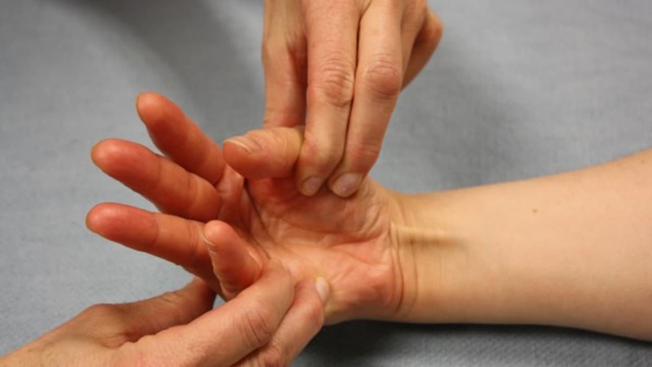 உங்களுக்குத் தெரியுமா? கையின் மணிக்கட்டு இணைப்பில் பங்கெடுக்கும் ஐந்து தசைகளில் ஒன்று பால்மாரிஸ் லோங்கஸ்...