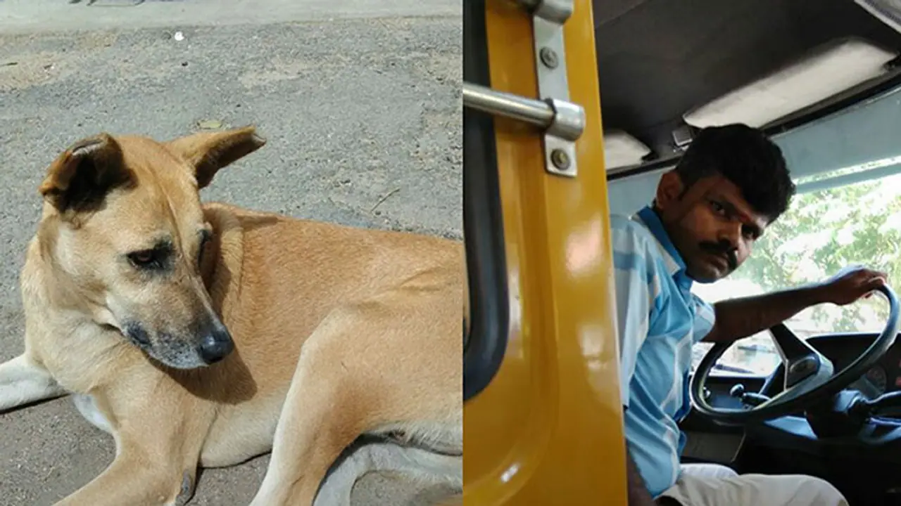 Two Bengaluru girls, cops team up to bring justice to stray dog Two Bengaluru girls, cops team up to bring justice to stray dog