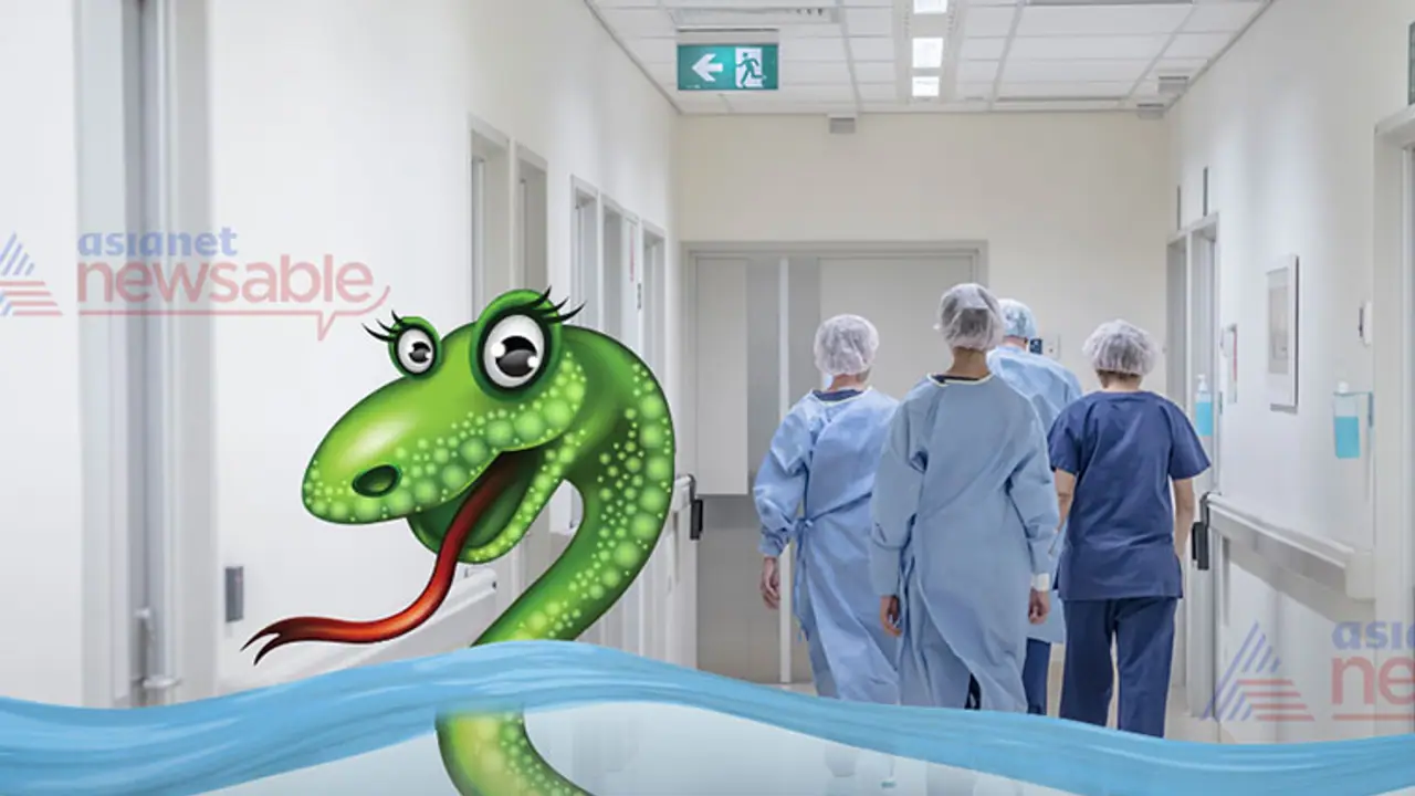 Flooded floor and cobra give sleepless nights to patients in HSR Layout Flooded floor and cobra give sleepless nights to patients in HSR Layout