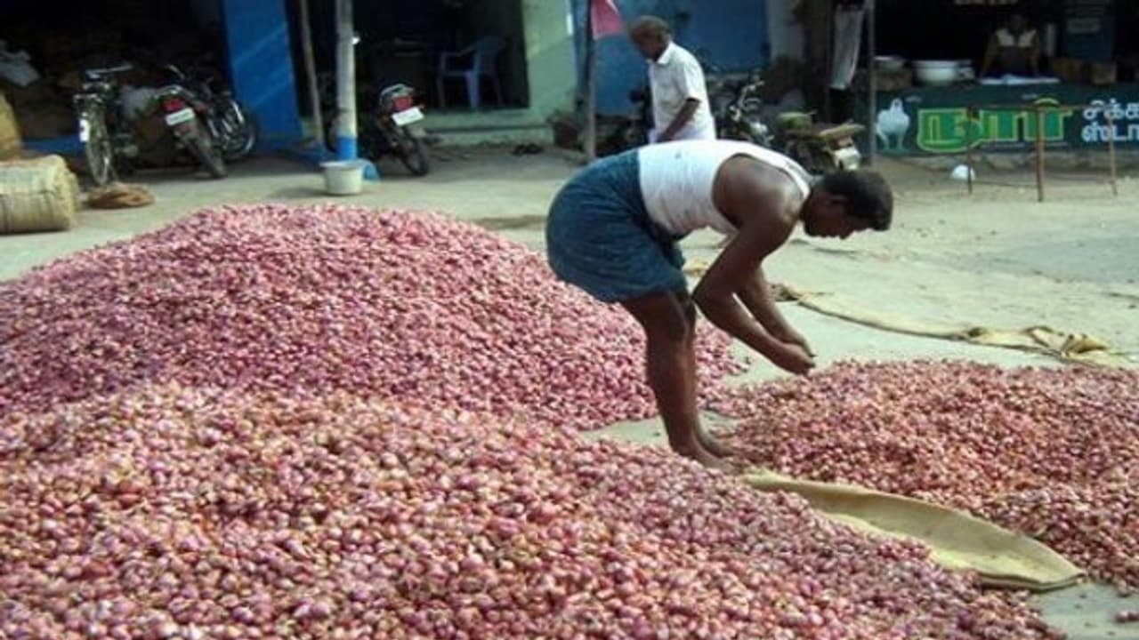 வெங்காயத்தில் கூடுதல் விளைச்சல் பெற வேண்டுமா? இதோ டிப்ஸ்… வெங்காயத்தில் கூடுதல் விளைச்சல் பெற வேண்டுமா? இதோ டிப்ஸ்…