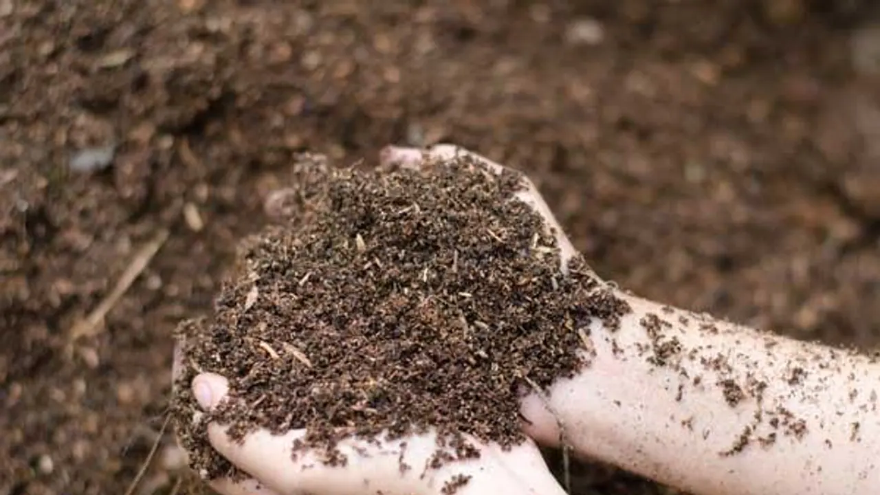 இயற்கை உரங்களைப் பயன்படுத்துவதால் இவ்வளவு நன்மைகள் உண்டு… இயற்கை உரங்களைப் பயன்படுத்துவதால் இவ்வளவு நன்மைகள் உண்டு…