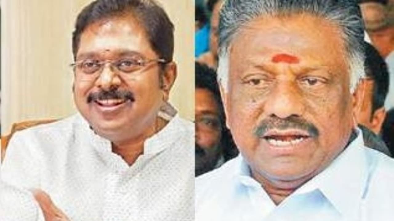 ”பதவி இல்லையேல் பன்னீருக்கு தூக்கமே வராது” போட்டு தாக்கிய டிடிவி... ”பதவி இல்லையேல் பன்னீருக்கு தூக்கமே வராது” போட்டு தாக்கிய டிடிவி...