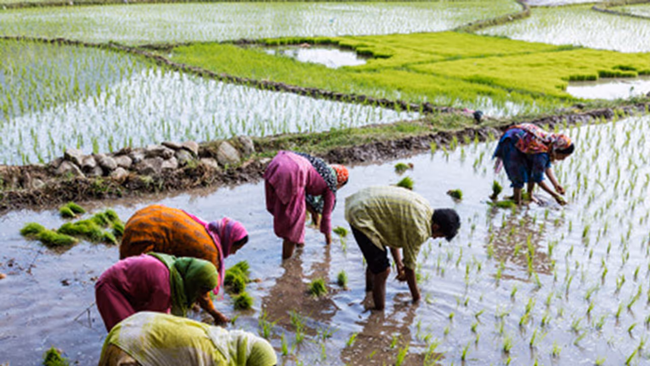 ದೇಶದ ರೈತರಿಗೆ ಗುಡ್ ನ್ಯೂಸ್ ದೇಶದ ರೈತರಿಗೆ ಗುಡ್ ನ್ಯೂಸ್