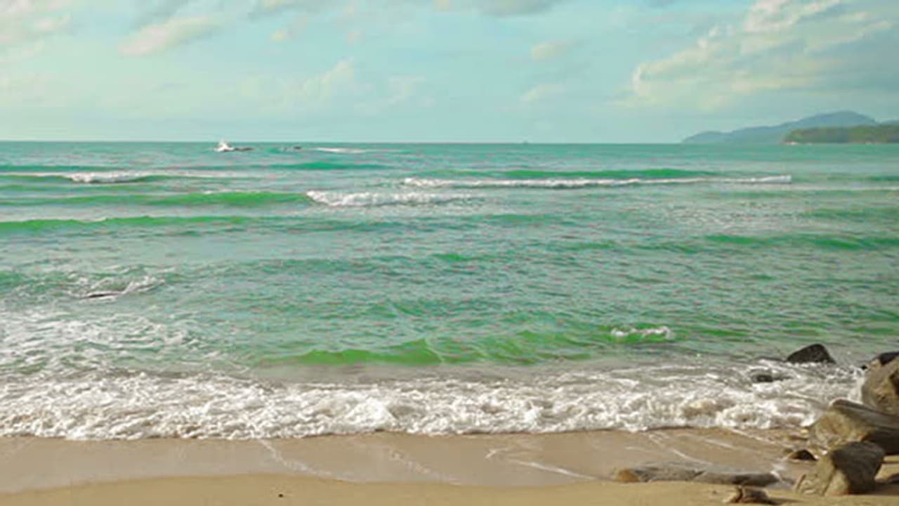 സൂനാമി: കേരളം മറക്കാനാഗ്രഹിക്കുന്ന ആ ദൃശ്യങ്ങള് സൂനാമി: കേരളം മറക്കാനാഗ്രഹിക്കുന്ന ആ ദൃശ്യങ്ങള്