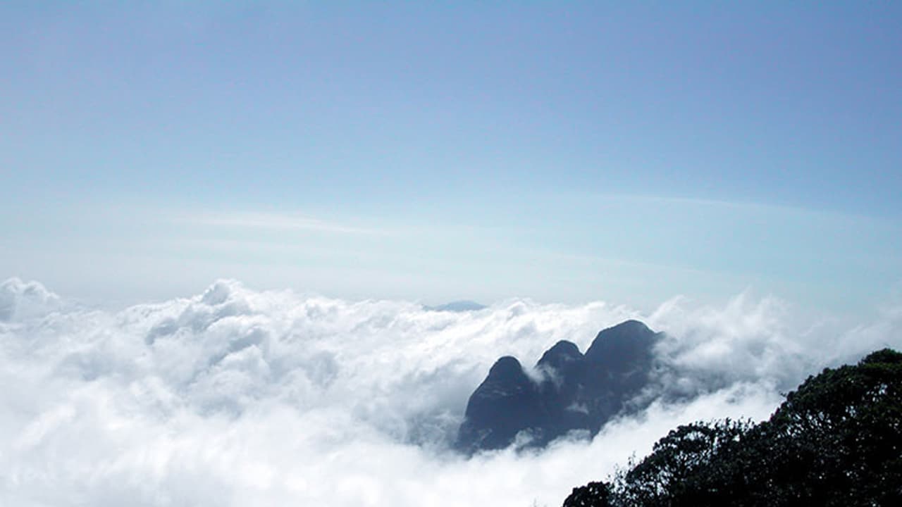 അഗസ്ത്യാര്കൂടം ട്രക്കിംഗ്, ബുക്കിംഗ് ഇന്നുമുതല് അഗസ്ത്യാര്കൂടം ട്രക്കിംഗ്, ബുക്കിംഗ് ഇന്നുമുതല്