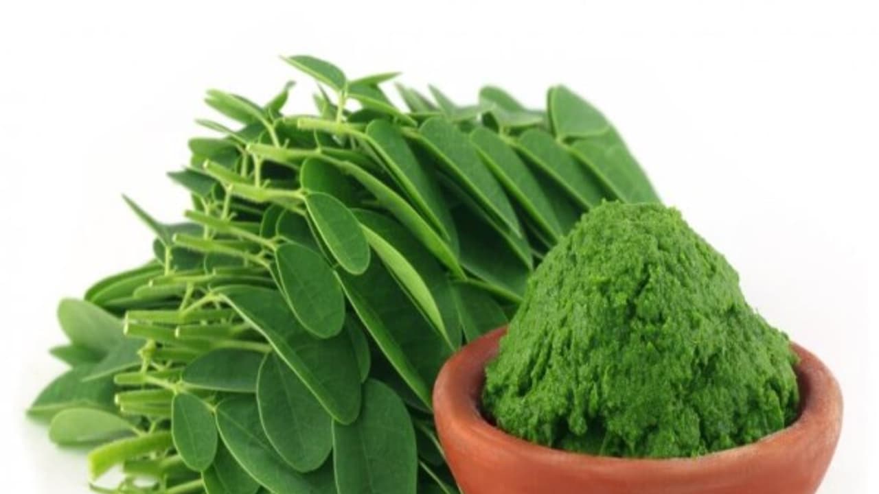 உங்களுக்குத் தெரியுமா? கண்களின் ஆரோக்கியத்தை பாதுகாக்க முருங்கை கீரை மிகவும் நல்லது. உங்களுக்குத் தெரியுமா? கண்களின் ஆரோக்கியத்தை பாதுகாக்க முருங்கை கீரை மிகவும் நல்லது.