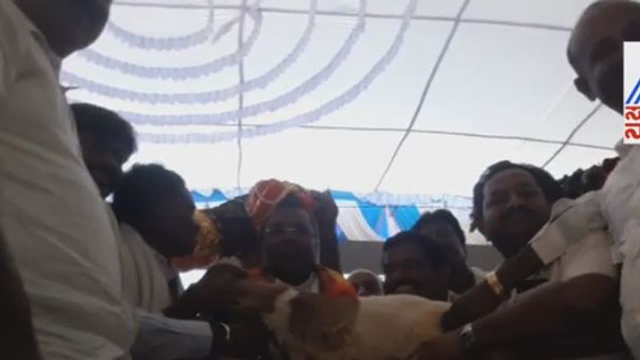 ಸಿಎಂಗೆ ಕುರಿಮರಿ ಗಿಫ್ಟ್: ಇದಕ್ಕೆ ಸಿಎಂ ಮಜವಾಗಿ ಪ್ರತಿಕ್ರಿಯಿಸಿದ್ದು ಹೀಗೆ ಸಿಎಂಗೆ ಕುರಿಮರಿ ಗಿಫ್ಟ್: ಇದಕ್ಕೆ ಸಿಎಂ ಮಜವಾಗಿ ಪ್ರತಿಕ್ರಿಯಿಸಿದ್ದು ಹೀಗೆ