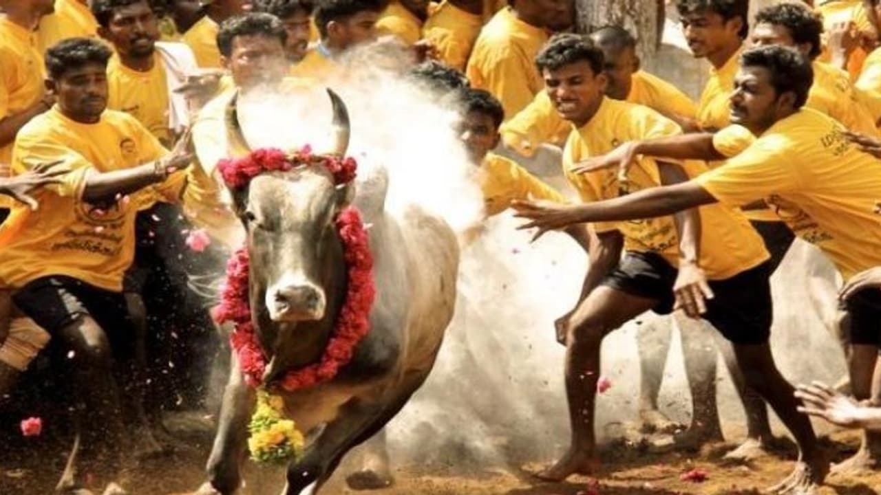 வெற்றி..!! வெற்றி..!! வெற்றி..!!! அவசர சட்டம் பிறப்பிப்பு..!!! வெற்றி..!! வெற்றி..!! வெற்றி..!!! அவசர சட்டம் பிறப்பிப்பு..!!!