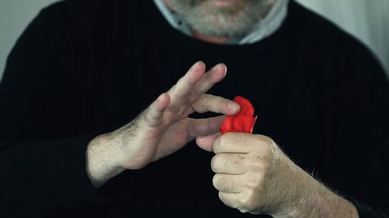 ಬಿಜೆಪಿ ಪರ ಪ್ರಚಾರಕ್ಕೆ ಇಳಿಯಲಿವೆ 36 ಜಾದೂಗಾರರ ತಂಡಗಳು..! ಬಿಜೆಪಿ ಪರ ಪ್ರಚಾರಕ್ಕೆ ಇಳಿಯಲಿವೆ 36 ಜಾದೂಗಾರರ ತಂಡಗಳು..!