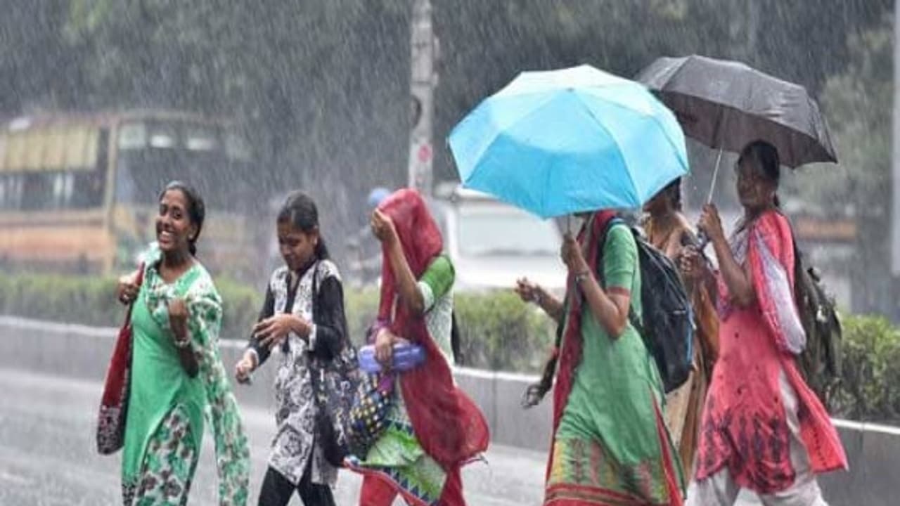 காலையில் வாட்டி எடுத்த வெய்யில்..! மாலையில் குளு குளு மழை...! மகிழ்ச்சியில் மக்கள்...! காலையில் வாட்டி எடுத்த வெய்யில்..! மாலையில் குளு குளு மழை...! மகிழ்ச்சியில் மக்கள்...!