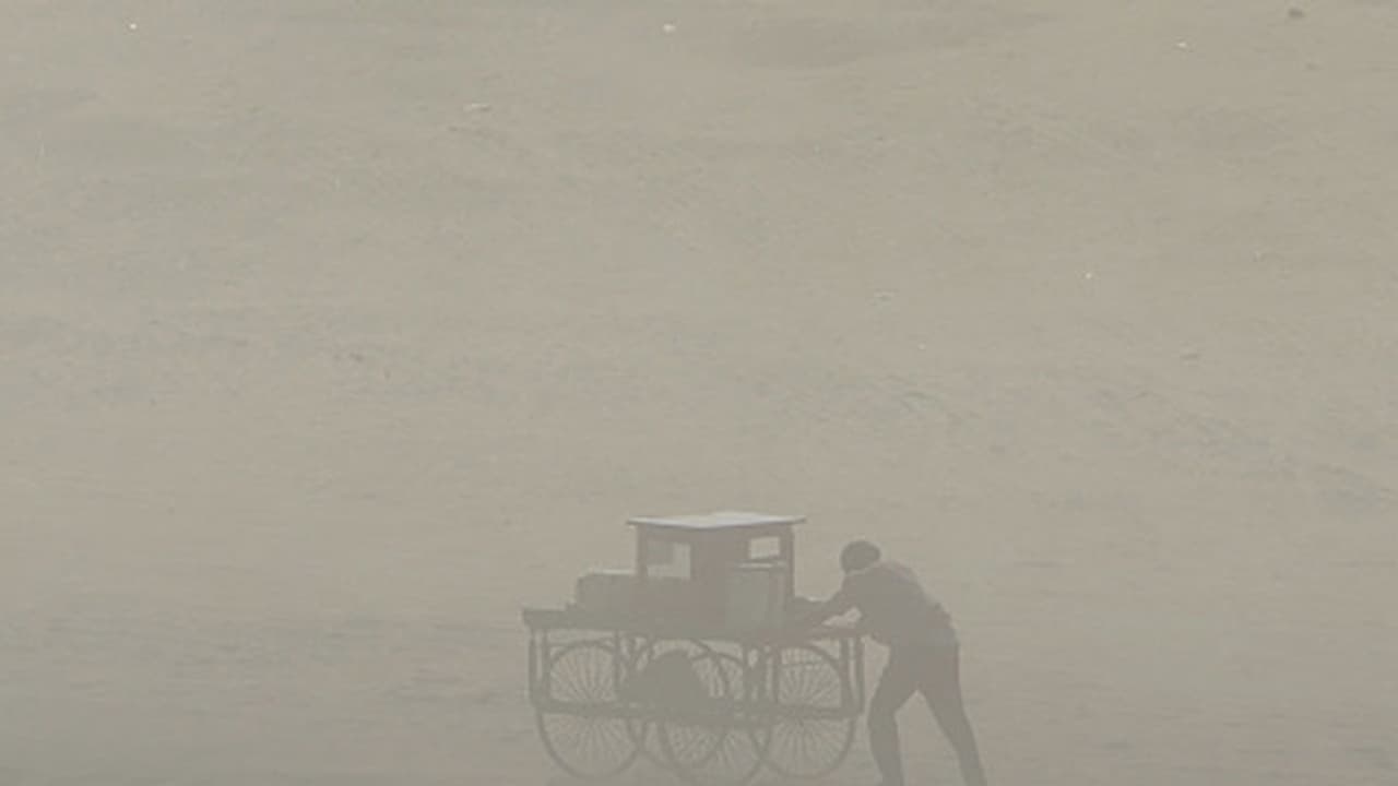 పెథాయ్ తుపాను దాటికి ఆరుగురు మృతి.... పెథాయ్ తుపాను దాటికి ఆరుగురు మృతి....