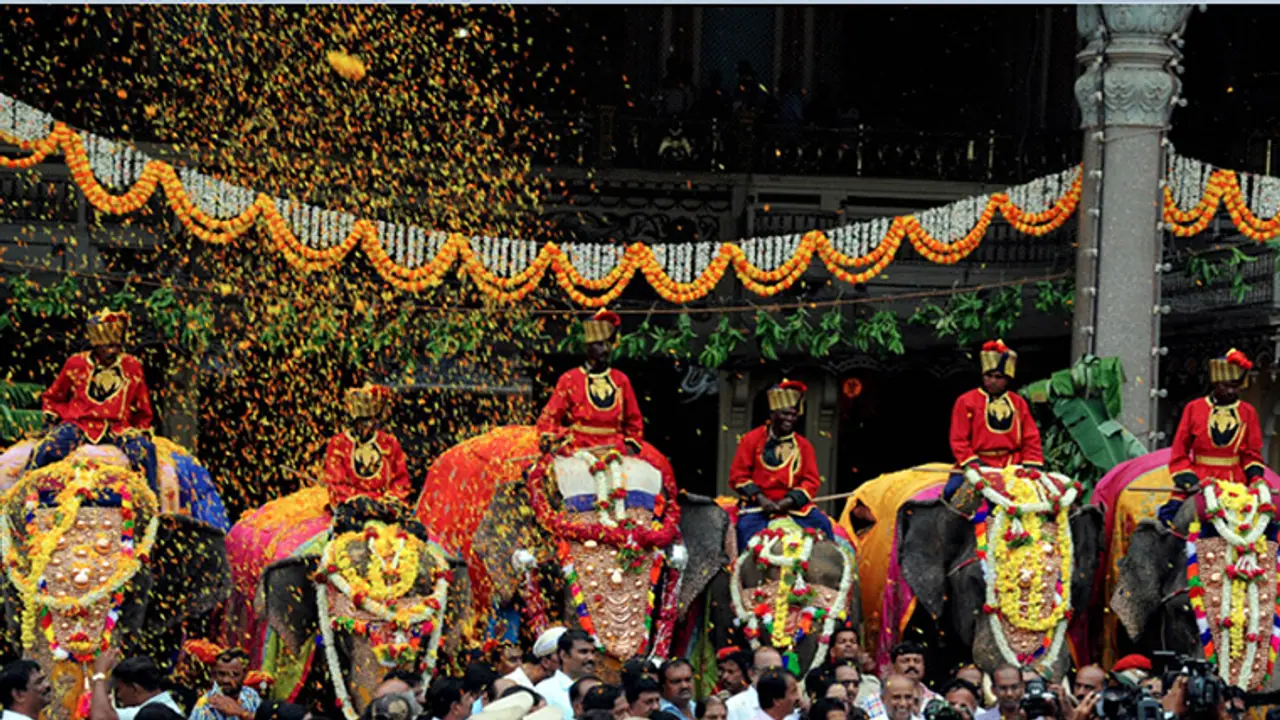 Here is all you need to know about the Dasara elephants