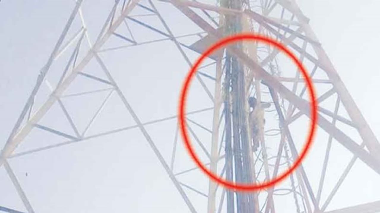 ரூ.5000 பணம் கேட்ட போலீசைக் கண்டித்து செல்போன் கோபுரத்தில் ஏறி இளைஞர் தற்கொலை மிரட்டல்... ரூ.5000 பணம் கேட்ட போலீசைக் கண்டித்து செல்போன் கோபுரத்தில் ஏறி இளைஞர் தற்கொலை மிரட்டல்...