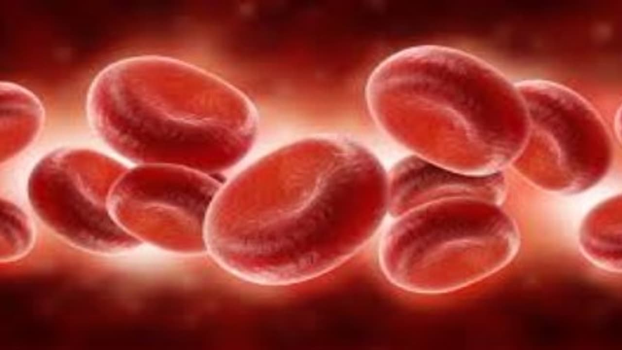 ரத்த சோகைக்கு தீர்வு... ரத்த சோகைக்கு தீர்வு...