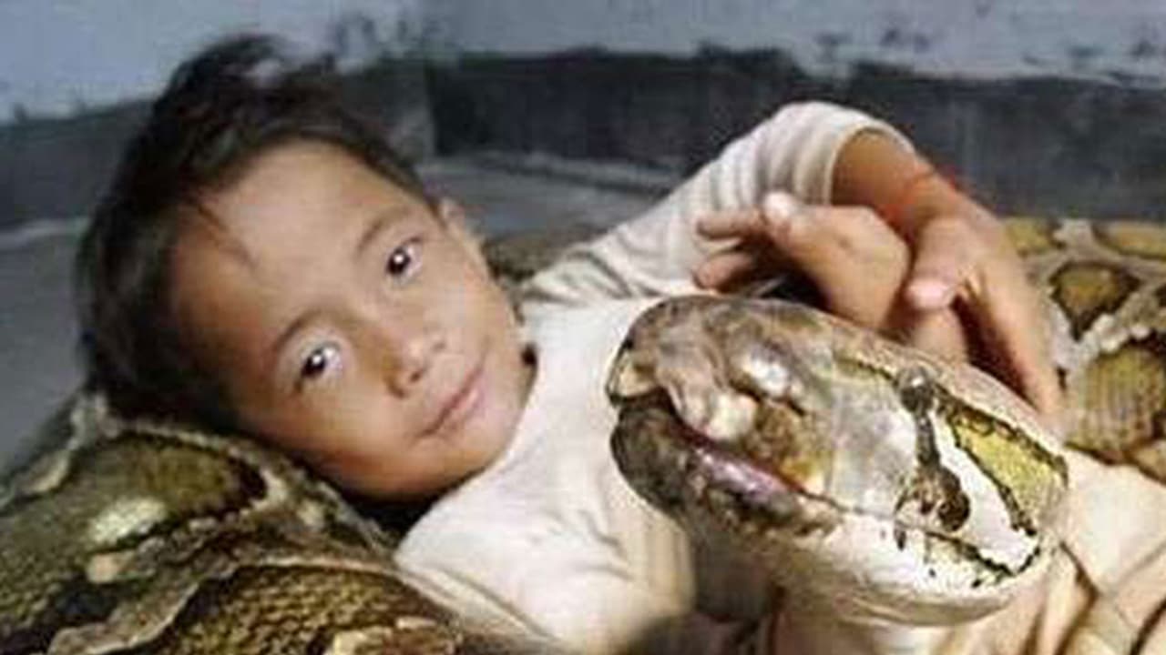 യൂനിന്റെ കൂട്ടുകാരന് പെരുമ്പാമ്പ് യൂനിന്റെ കൂട്ടുകാരന് പെരുമ്പാമ്പ്