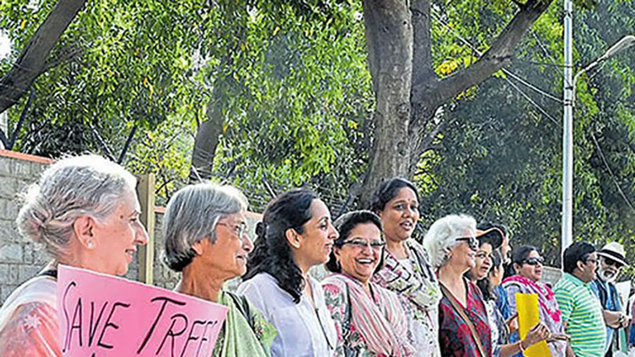 One year of steel flyover beda: Made a difference? Share your thoughts with #IDaredToSayBeda