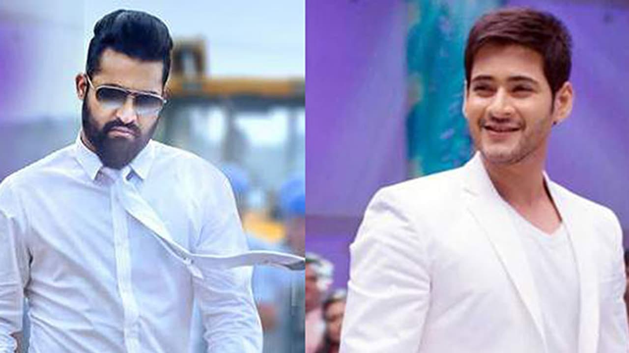 Jr NTR Vs Mahesh Babu: This Dussehra who will win the race? Jr NTR Vs Mahesh Babu: This Dussehra who will win the race?