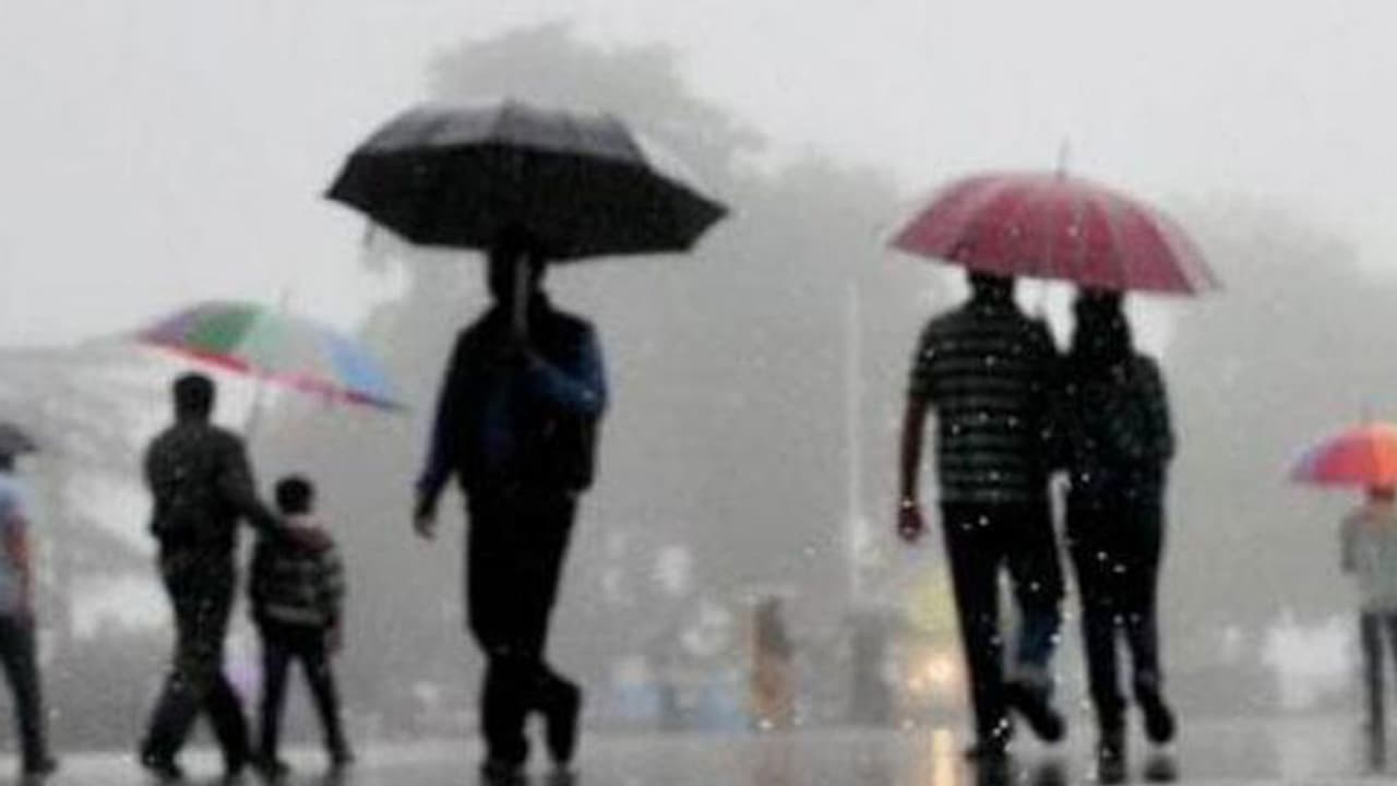 মেঘলা আকাশ, কয়েক পশলা বৃষ্টি! কেমন থাকবে কলকাতার আবহাওয়া মেঘলা আকাশ, কয়েক পশলা বৃষ্টি! কেমন থাকবে কলকাতার আবহাওয়া