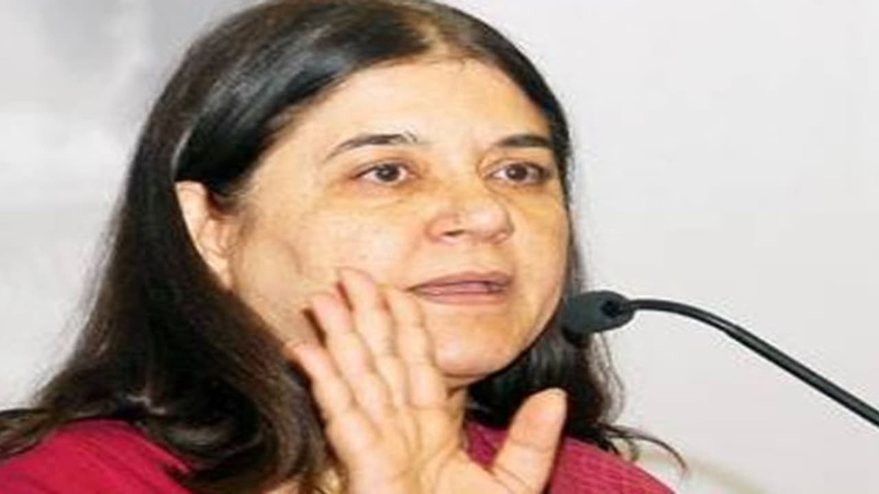 ஜல்லிக்கட்டுக்கு எதிராக மேனகாகாந்தி தரப்பில் வழக்கு தொடரப்படவில்லை பீப்பிள்ஸ் பார் அனிமல்ஸ் அமைப்பு விளக்கம் ஜல்லிக்கட்டுக்கு எதிராக மேனகாகாந்தி தரப்பில் வழக்கு தொடரப்படவில்லை பீப்பிள்ஸ் பார் அனிமல்ஸ் அமைப்பு விளக்கம்