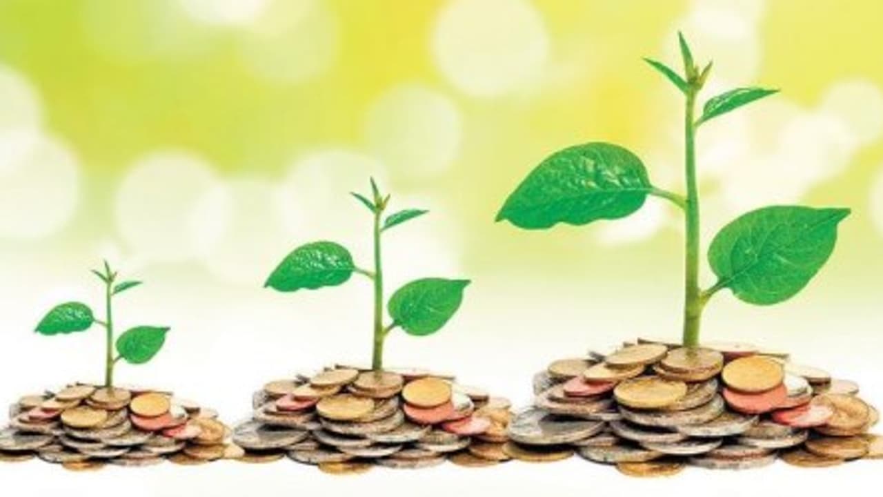 உங்களுக்கு தெரியாத தொழிலில் முதலீடு செய்யலாமா ??? உங்களுக்கு தெரியாத தொழிலில் முதலீடு செய்யலாமா ???