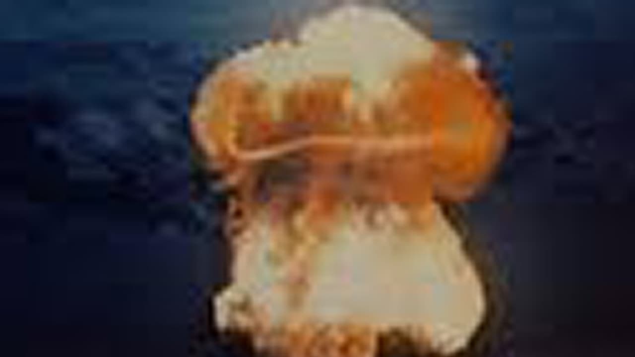 ಉತ್ತರ ಕೊರಿಯಾದಿಂದ ಅಣುಬಾಂಬ್ ಪರೀಕ್ಷೆ; ಜಾಗತಿಕವಾಗಿ ತೀವ್ರ ಖಂಡನೆ ಉತ್ತರ ಕೊರಿಯಾದಿಂದ ಅಣುಬಾಂಬ್ ಪರೀಕ್ಷೆ; ಜಾಗತಿಕವಾಗಿ ತೀವ್ರ ಖಂಡನೆ