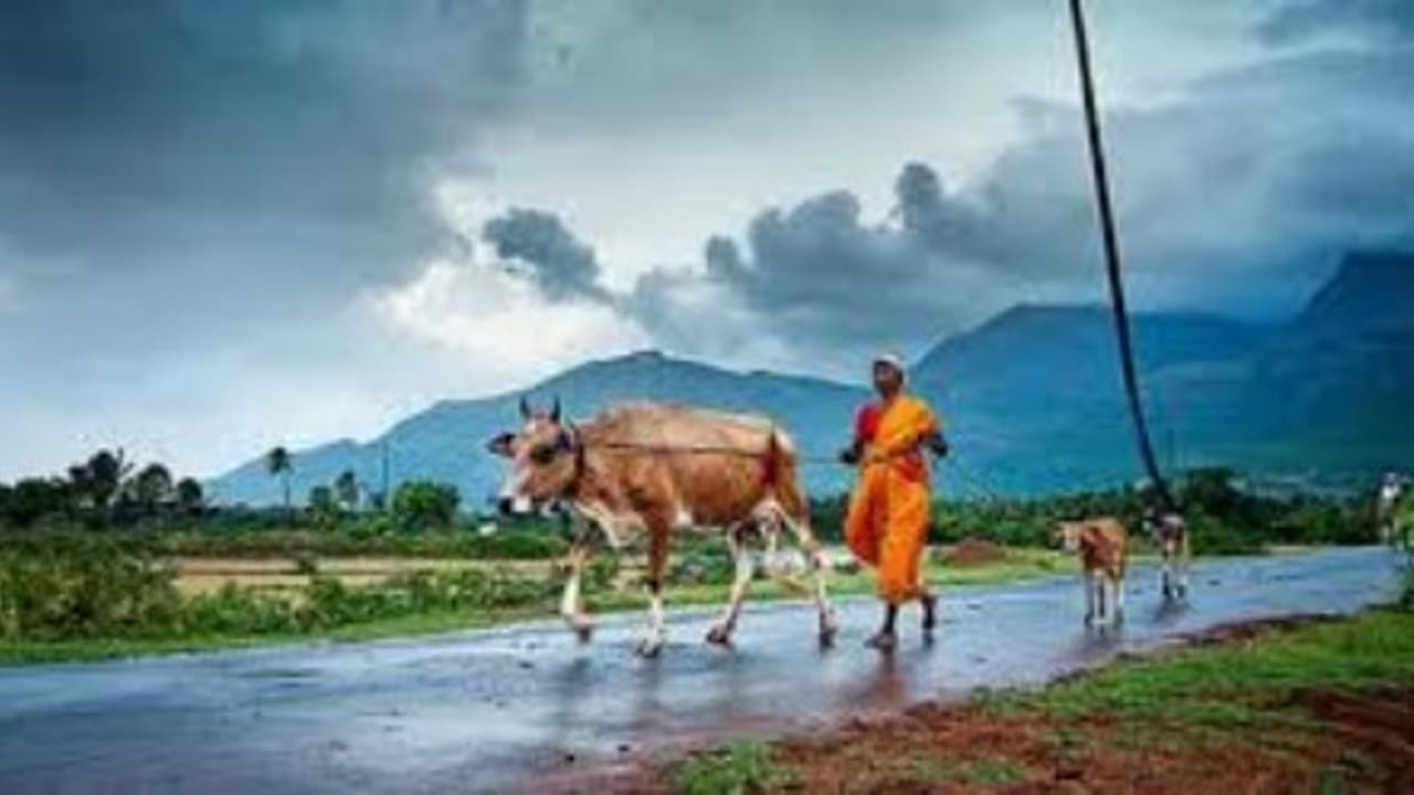 அந்தமானைத் தொடர்ந்து தமிழகம் மற்றும் கேரளாவில் தொடங்குகிறது தென் மேற்கு பருவமழை… அந்தமானைத் தொடர்ந்து தமிழகம் மற்றும் கேரளாவில் தொடங்குகிறது தென் மேற்கு பருவமழை…