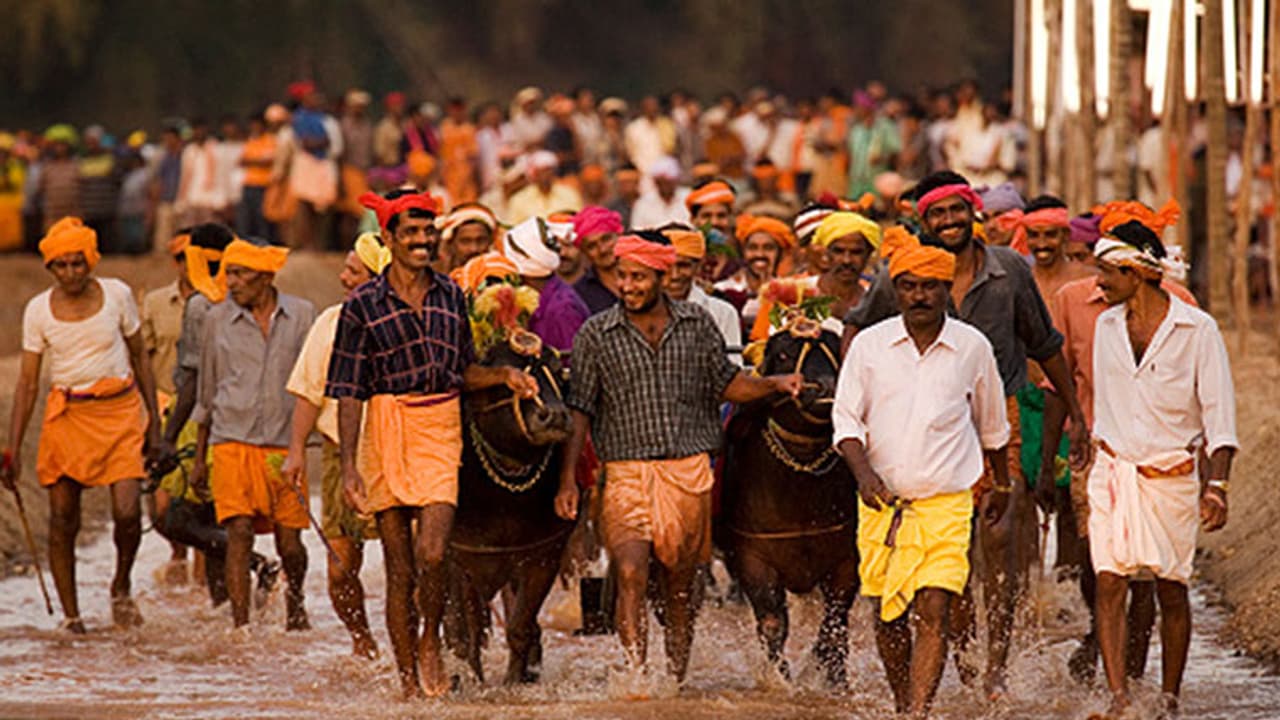 ಕಂಬಳಕ್ಕೆ ಎದುರಾಗಿದೆ ಮತ್ತೊಂದು ಕುತ್ತು; ಮತ್ತೆ ಸುಪ್ರೀಂ ಮೆಟ್ಟಿಲೇರೋಕೆ ರೆಡಿಯಾಗಿದೆ ಪೇಟಾ ಕಂಬಳಕ್ಕೆ ಎದುರಾಗಿದೆ ಮತ್ತೊಂದು ಕುತ್ತು; ಮತ್ತೆ ಸುಪ್ರೀಂ ಮೆಟ್ಟಿಲೇರೋಕೆ ರೆಡಿಯಾಗಿದೆ ಪೇಟಾ