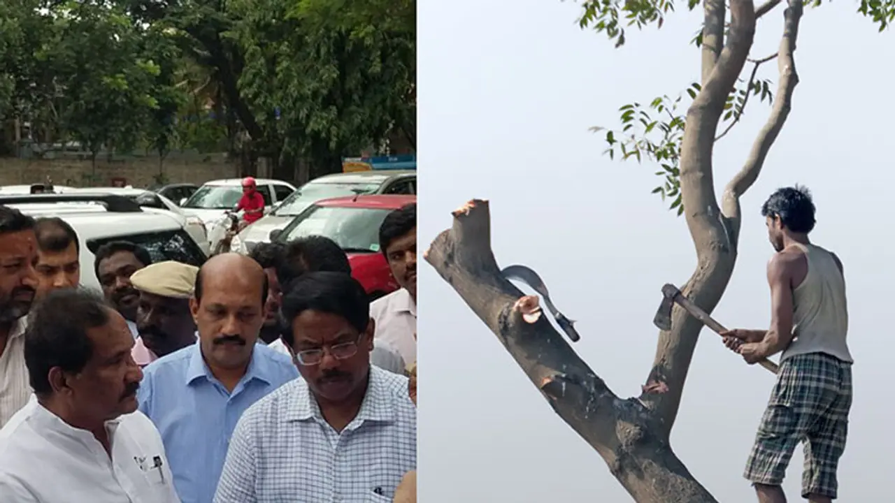 BBMP uses loopholes to reduce Bengaluru's tree cover even further