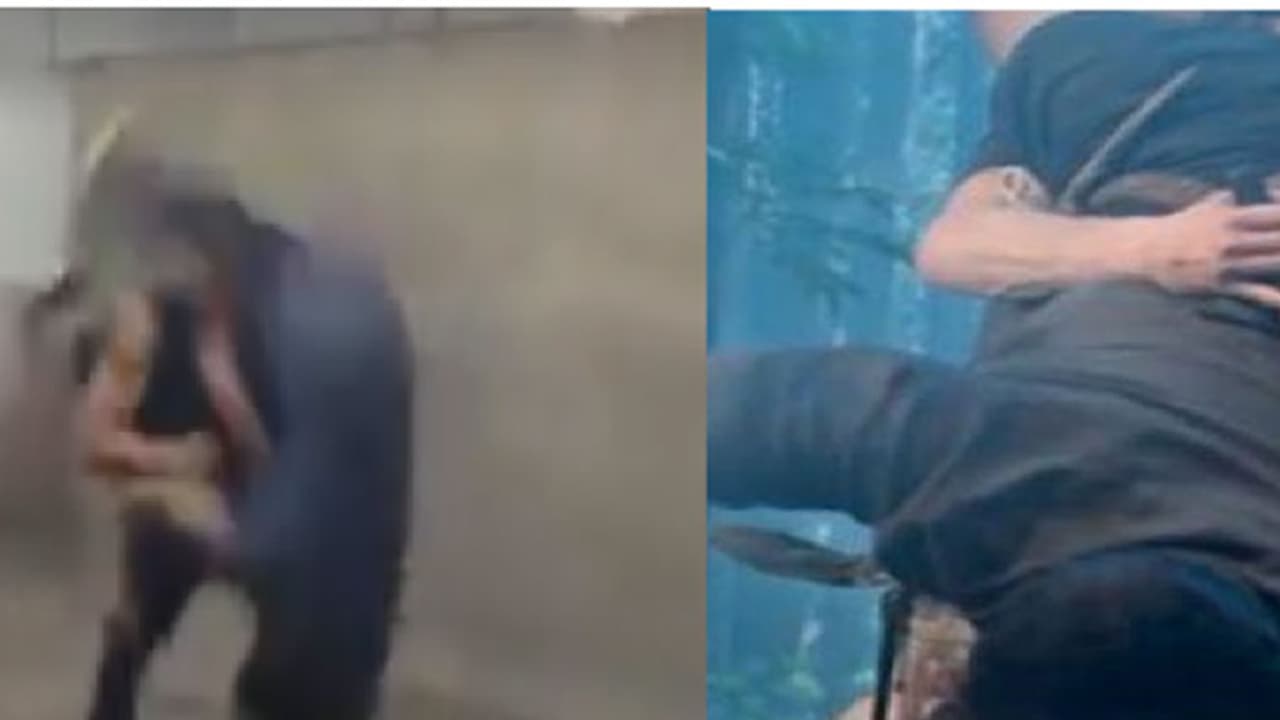 പുലിമുരുകന് സ്റ്റൈലില് പ്രണവ് മോഹന്ലാലിന്റെ ആക്ഷന് വീഡിയോ പുലിമുരുകന് സ്റ്റൈലില് പ്രണവ് മോഹന്ലാലിന്റെ ആക്ഷന് വീഡിയോ