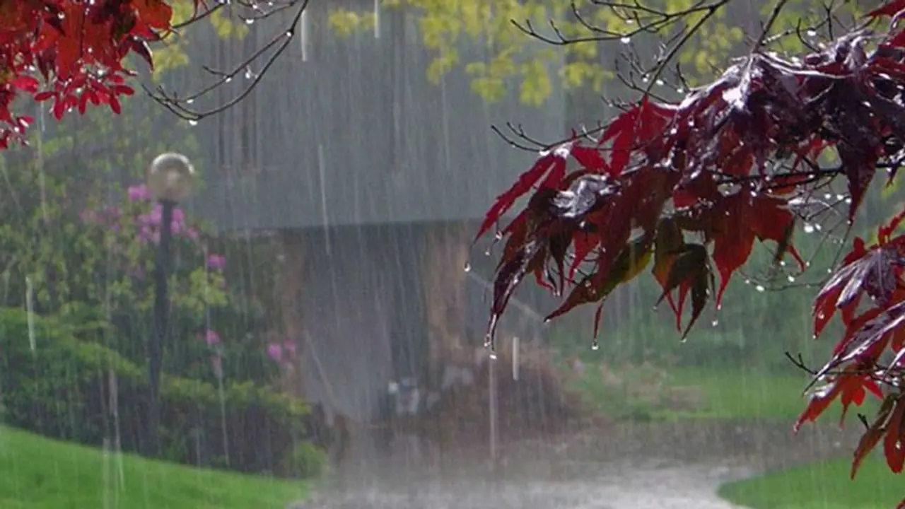 ഒരൊറ്റ മഴയോര്‍മ്മ മതി; പ്രവാസിക്ക് സ്വന്തം നാടുതൊടാന്‍!