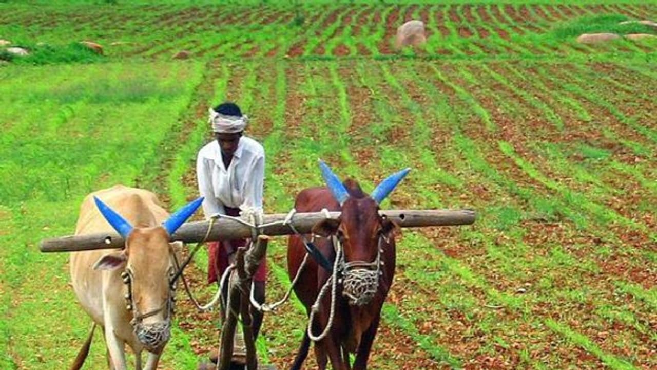 மஞ்சளாறு, சோத்துபாறை நீர்தேக்கம் திறக்க முதலமைச்சர் உத்தரவு விவசாயிகள் மகிழ்ச்சி...! மஞ்சளாறு, சோத்துபாறை நீர்தேக்கம் திறக்க முதலமைச்சர் உத்தரவு விவசாயிகள் மகிழ்ச்சி...!