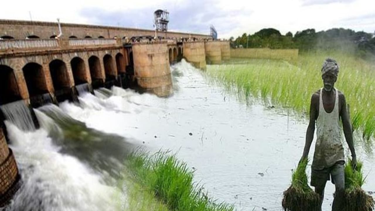 காவிரி மேலாண்மை வாரியம் அமைக்கப்படும் மத்திய அமைச்சர் திட்டவட்டம் காவிரி மேலாண்மை வாரியம் அமைக்கப்படும் மத்திய அமைச்சர் திட்டவட்டம்